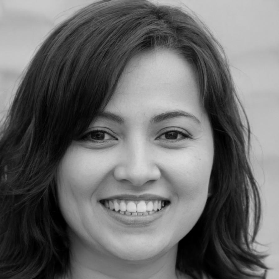 Sarah Williams - Budget Optimization Expert